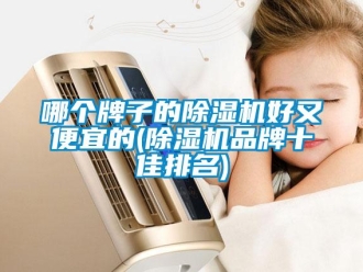 企业新闻哪个牌子的除湿机好又便宜的(除湿机品牌十佳排名)