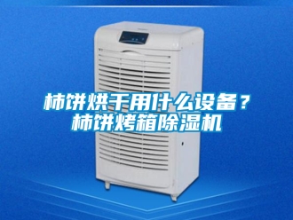 行业新闻柿饼烘干用什么设备？柿饼烤箱除湿机