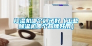 除湿机哪个牌子好（工业除湿机哪个品牌好用）