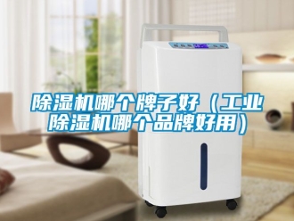 常见问题除湿机哪个牌子好（工业除湿机哪个品牌好用）