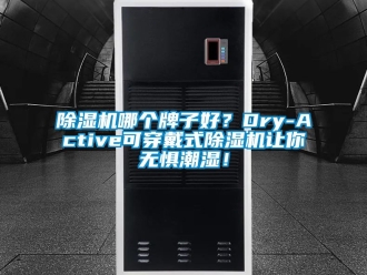 行业新闻除湿机哪个牌子好？Dry-Active可穿戴式除湿机让你无惧潮湿！