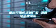 巢湖恒温恒湿机厂家 调温降温除湿机