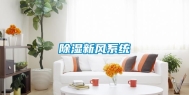 除湿新风系统