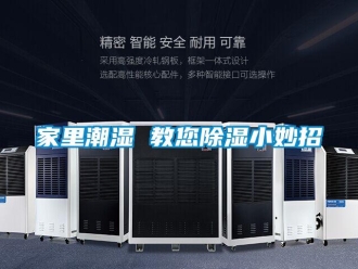 行业新闻家里潮湿 教您除湿小妙招
