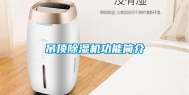吊顶除湿机功能简介