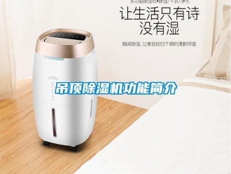 企业新闻吊顶除湿机功能简介