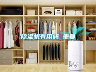 行业新闻除湿机有用吗_重复