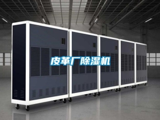 行业新闻皮革厂除湿机