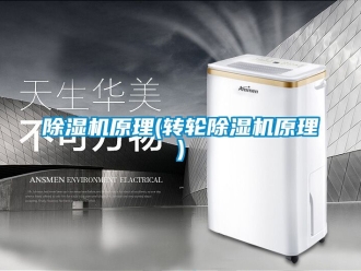 常见问题除湿机原理(转轮除湿机原理)