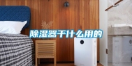 除湿器干什么用的