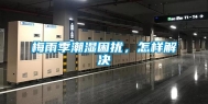 梅雨季潮湿困扰，怎样解决