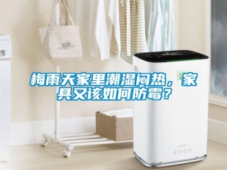 常见问题梅雨天家里潮湿闷热，家具又该如何防霉？