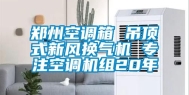 郑州空调箱 吊顶式新风换气机 专注空调机组20年