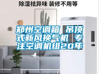 企业新闻郑州空调箱 吊顶式新风换气机 专注空调机组20年