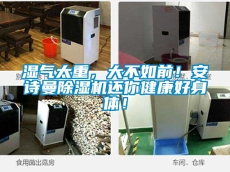 企业新闻湿气太重，大不如前！安诗曼除湿机还你健康好身体！
