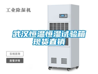 知识百科武汉恒温恒湿试验箱现货直销