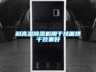 行业新闻耐高温除湿机用于挂面烘干效果好