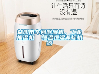 常见问题益阳市车间除湿机，工业抽湿机  恒温恒湿非标机器