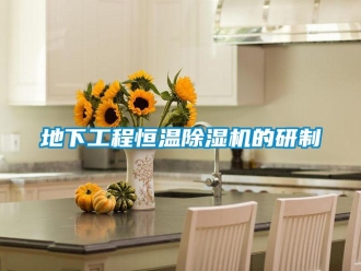 企业新闻地下工程恒温除湿机的研制