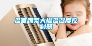 温室蔬菜大棚温湿度控制器