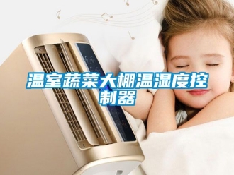 企业新闻温室蔬菜大棚温湿度控制器