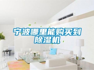 行业新闻宁波哪里能购买到除湿机