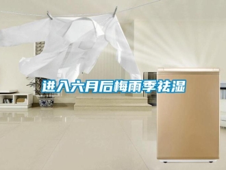 行业新闻进入六月后梅雨季祛湿