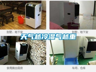 知识百科天气越冷湿气越重