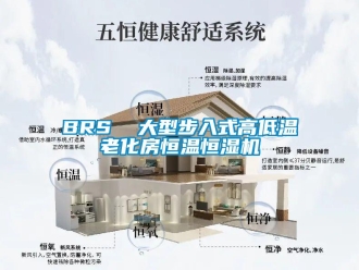常见问题BRS  大型步入式高低温老化房恒温恒湿机