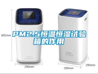 常见问题PM2.5恒温恒湿试验箱的作用