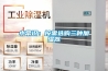 小常识：按需选购三种加湿器
