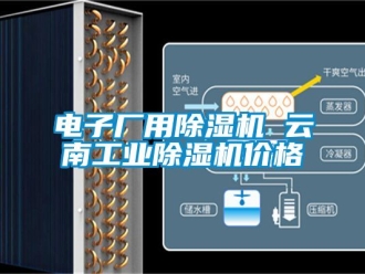 常见问题电子厂用除湿机 云南工业除湿机价格