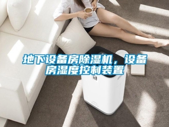 企业新闻地下设备房除湿机，设备房湿度控制装置