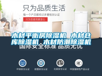 企业新闻木材平衡房除湿机 木材仓库除湿机 木材防潮除湿机