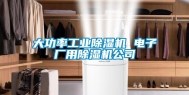 大功率工业除湿机 电子厂用除湿机公司