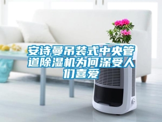 企业新闻安诗曼吊装式中央管道除湿机为何深受人们喜爱