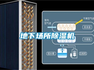 行业新闻地下场所除湿机