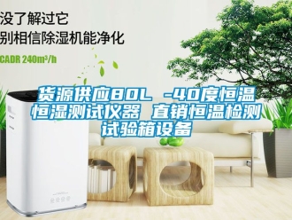 知识百科货源供应80L -40度恒温恒湿测试仪器 直销恒温检测试验箱设备