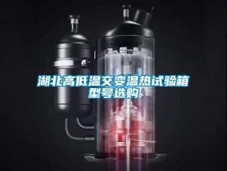 常见问题湖北高低温交变温热试验箱型号选购
