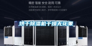 烘干除湿机干燥无花果