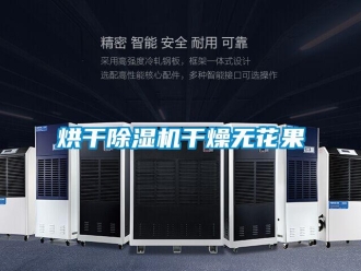 行业新闻烘干除湿机干燥无花果