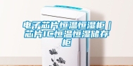 电子芯片恒温恒湿柜｜芯片IC恒温恒湿储存柜