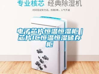 知识百科电子芯片恒温恒湿柜｜芯片IC恒温恒湿储存柜