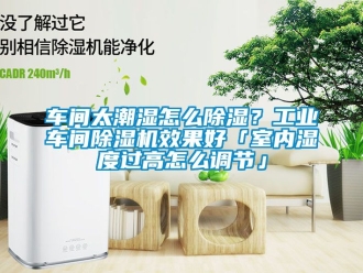 常见问题车间太潮湿怎么除湿？工业车间除湿机效果好「室内湿度过高怎么调节」