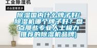 除湿国内什么牌子好(除湿机哪个牌子好？盘点那些专业人士极力推荐的除湿机品牌)