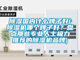 企业新闻除湿国内什么牌子好(除湿机哪个牌子好？盘点那些专业人士极力推荐的除湿机品牌)