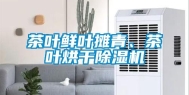茶叶鲜叶摊青、茶叶烘干除湿机