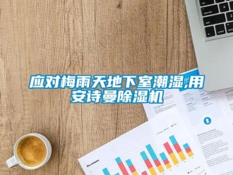 企业新闻应对梅雨天地下室潮湿,用安诗曼除湿机