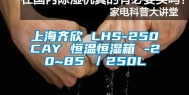 上海齐欣 LHS-250CAY 恒温恒湿箱 -20~85℃／250L