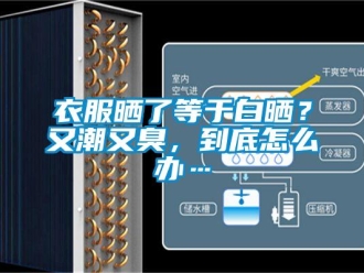 常见问题衣服晒了等于白晒？又潮又臭，到底怎么办…
